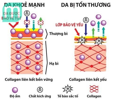 nhung-dieu-quan-trong-duong-da-ban-can-biet
