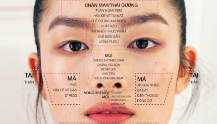 FACE MAPPING: MỤN TRÊN MẶT NÓI GÌ VỀ TÌNH TRẠNG SỨC KHỎE CỦA BẠN? face-mapping-nguyen-nhan-bi-mun-1