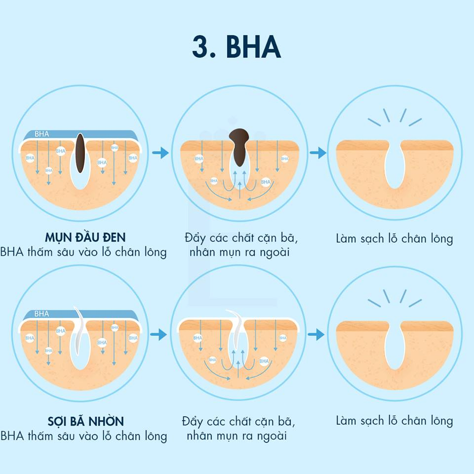 Khám Phá Cơ Chế Hoạt Động Của 8 Hoạt Chất Trị Mụn