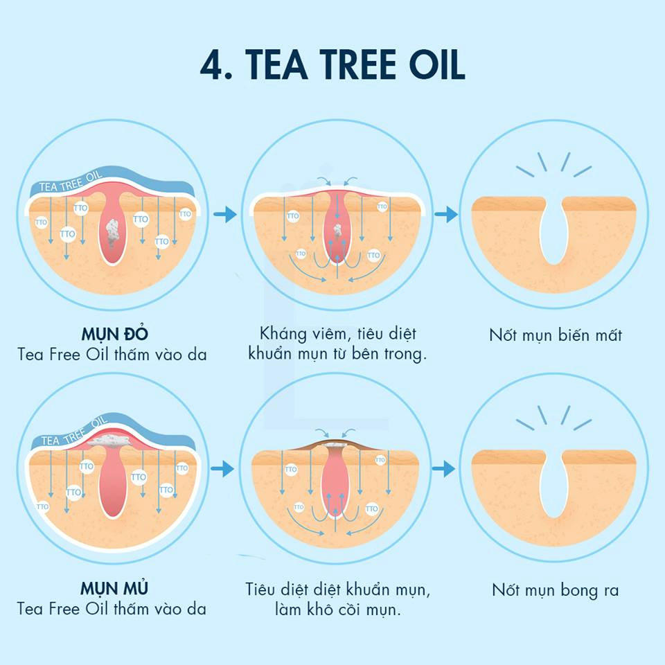 Khám Phá Cơ Chế Hoạt Động Của 8 Hoạt Chất Trị Mụn