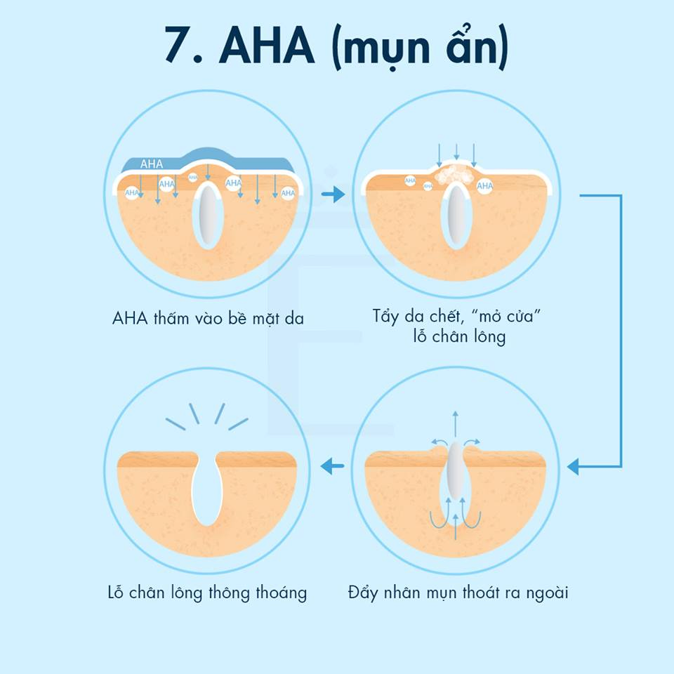 Khám Phá Cơ Chế Hoạt Động Của 8 Hoạt Chất Trị Mụn