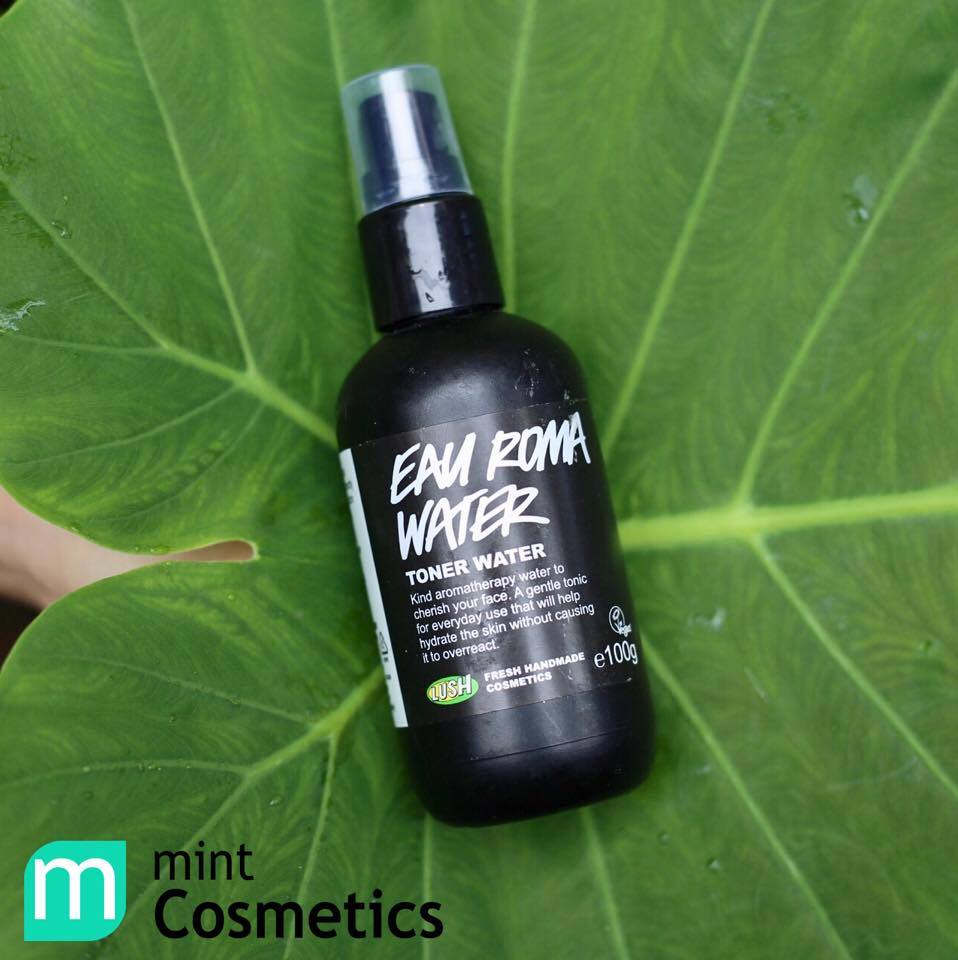 Bạn có thực sự cần nước hoa hồng cho routine chăm sóc da của mình? ban-co-thuc-su-can-nuoc-hoa-hong-cho-routine-cham-soc-da-cua-minh