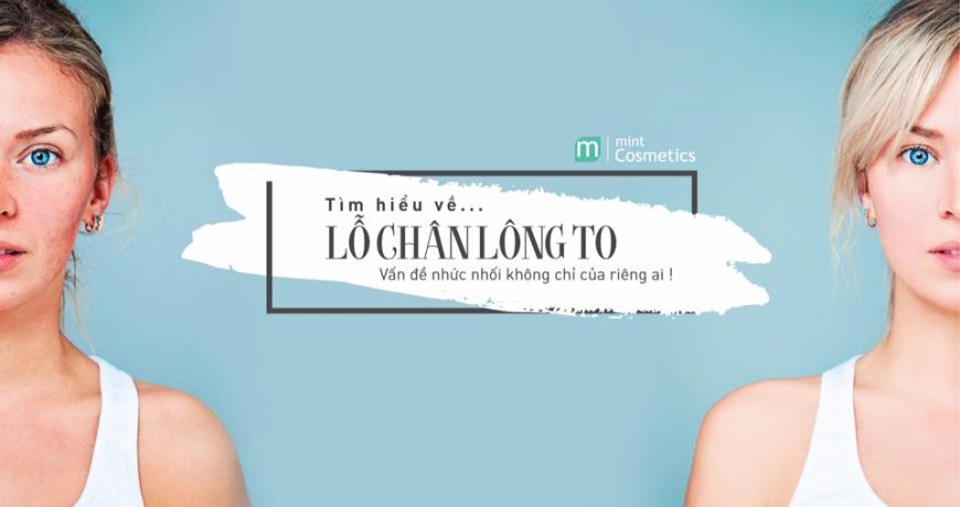 Tìm Hiểu Về Lỗ Chân Lông To – Vấn Đề Nhức Nhối Không Chỉ Của Riêng Ai