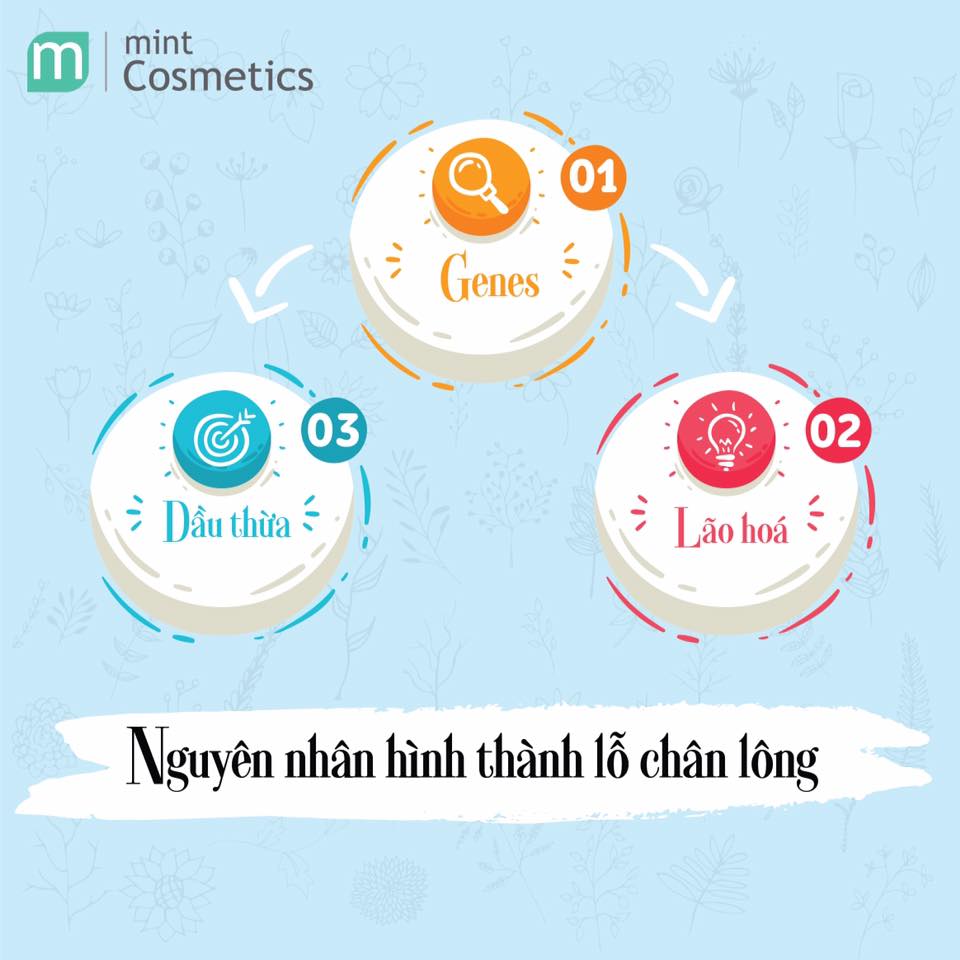 Tìm Hiểu Về Lỗ Chân Lông To – Vấn Đề Nhức Nhối Không Chỉ Của Riêng Ai