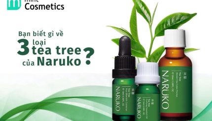 naruko-co-tan-ba-loai-tea-tree-co-a-chon-loai-nao-bay-gio