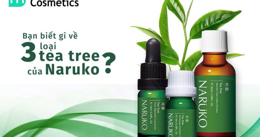 naruko-co-tan-ba-loai-tea-tree-co-a-chon-loai-nao-bay-gio
