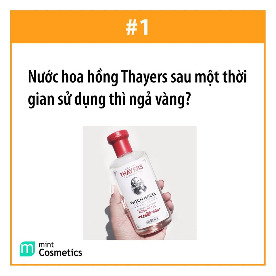 giup-minter-trả-loi-nhũng-cau-hỏi