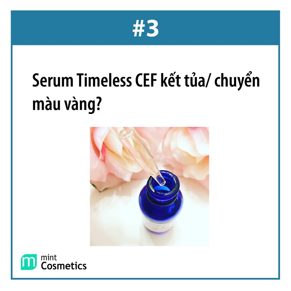Giúp Minter Trả Lời Những Câu Hỏi