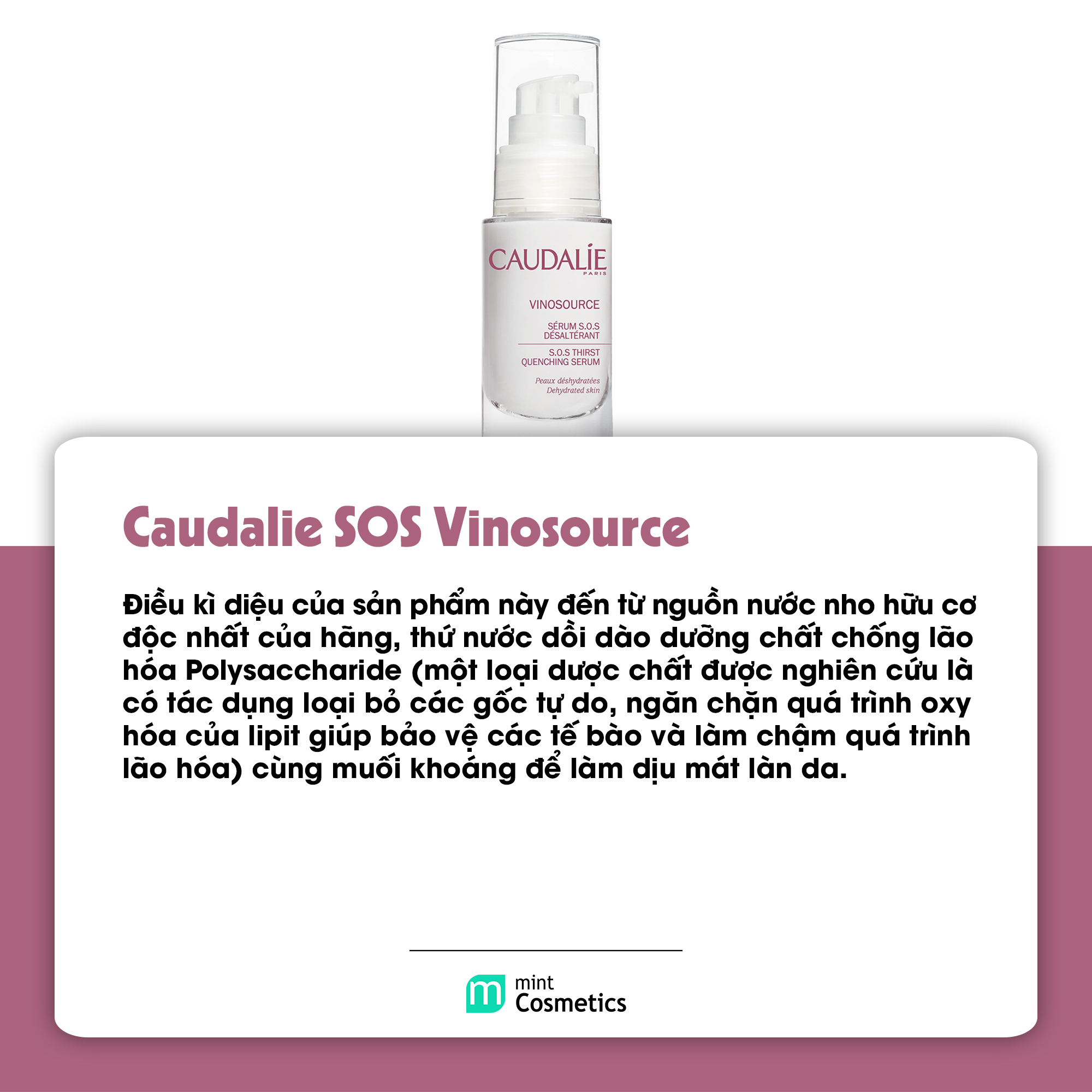 15-chai-serum-cap-am-phai-co-trong-routine