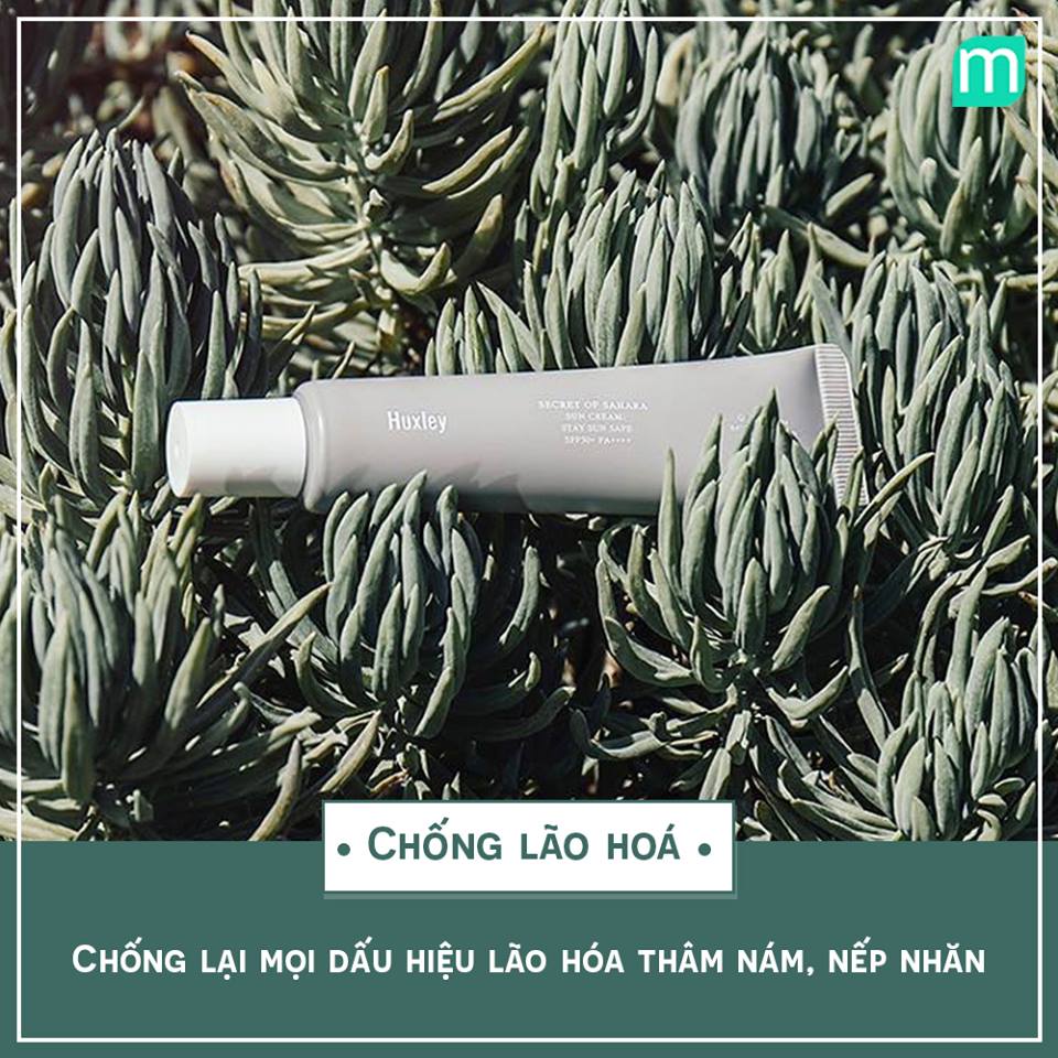 tai-sinh-lan-da-nho-dau-xuong-rong-prickly-pear-seed-oil