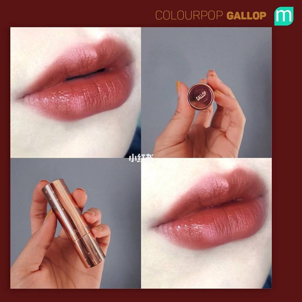 tong-hop-son-do-nau-tai-mint-cosmetics
