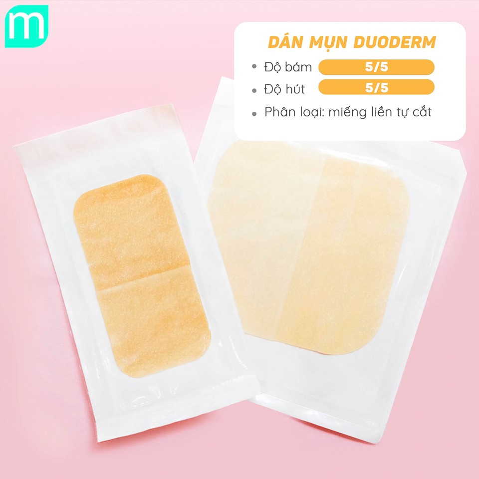 tong-hop-dan-mun-tai-mint