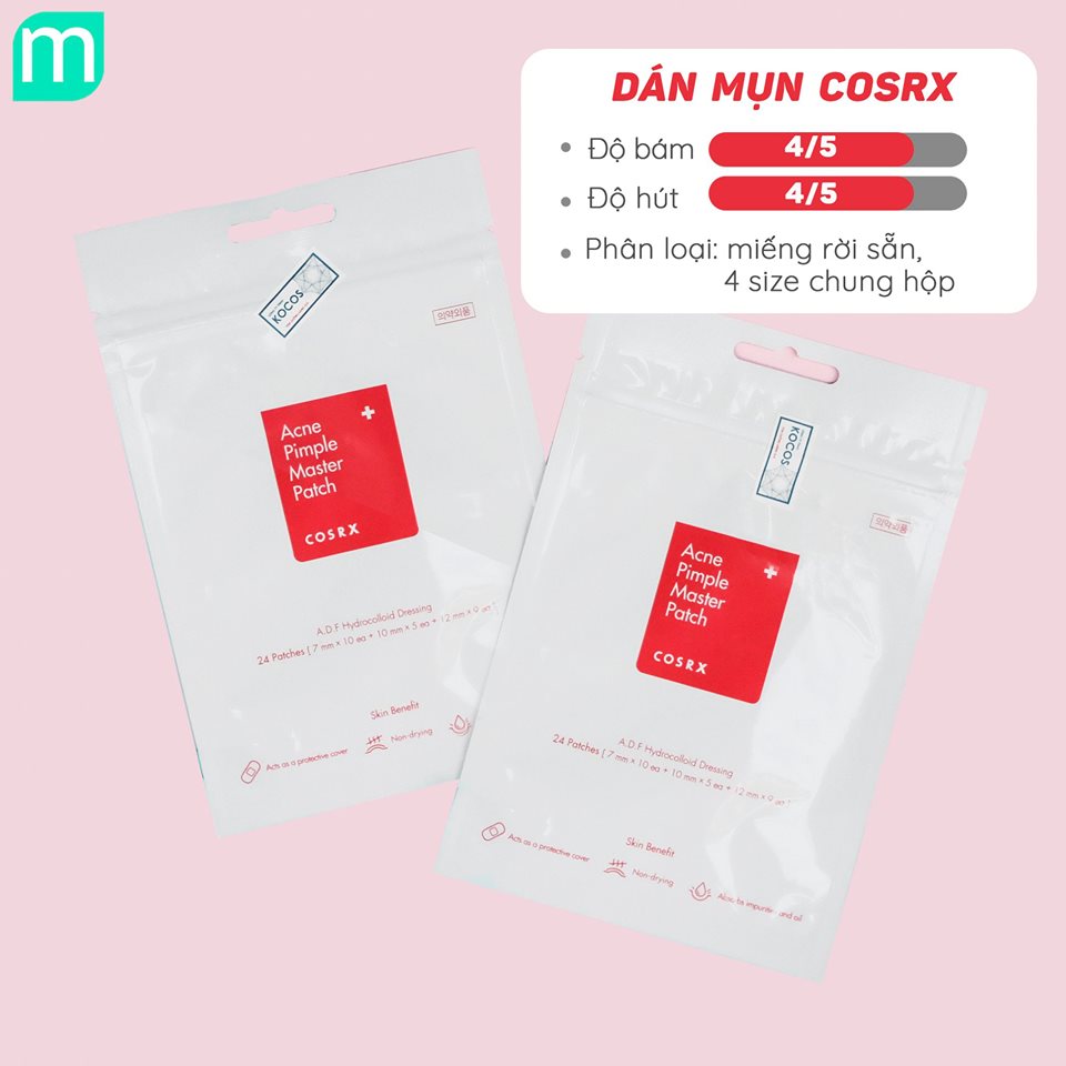 tong-hop-dan-mun-tai-mint