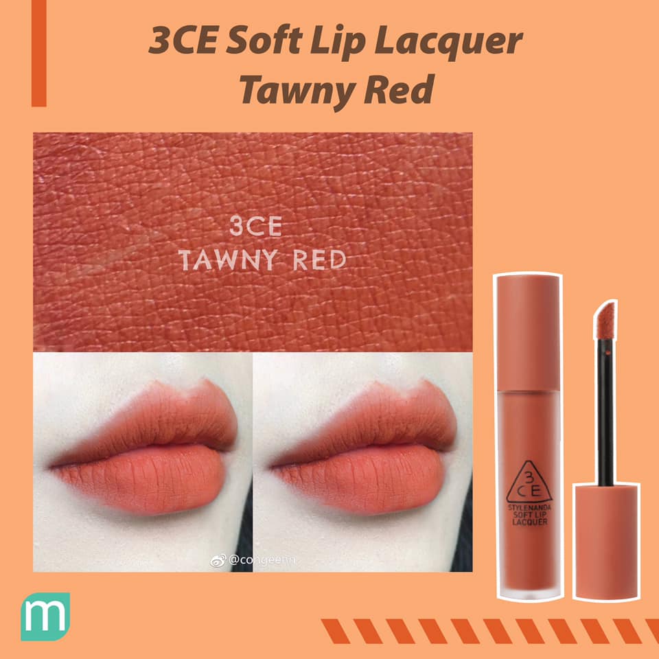 tong-hop-son-cam-chay-tai-mint-cosmetics