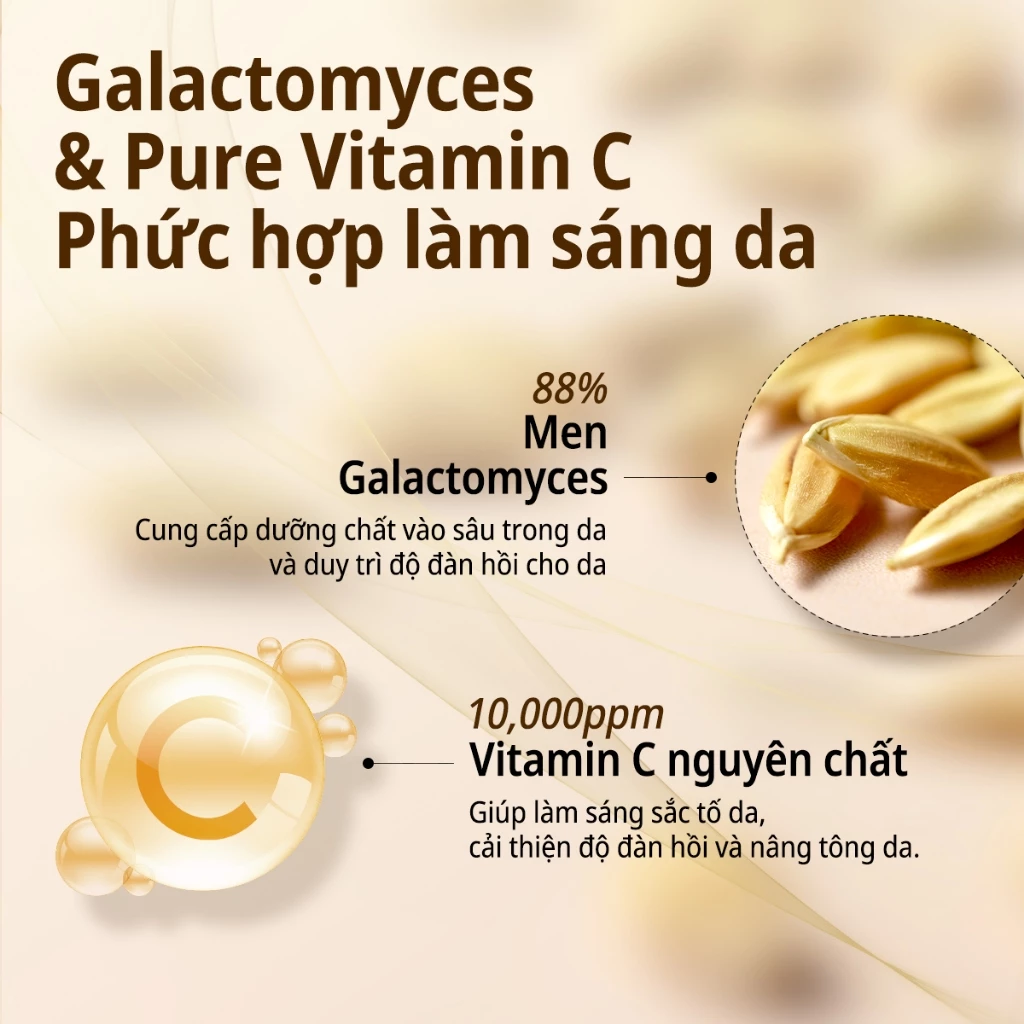 Nước Hoa Hồng Some By Mi Galactomyces Pure Vitamin C Glow Toner Nước Hoa Hồng Some By Mi Galactomyces Pure Vitamin C Glow Toner