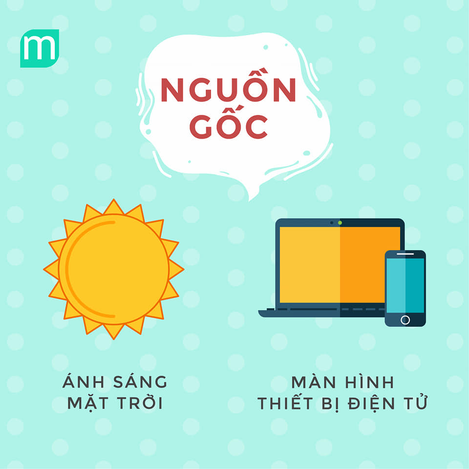 anh-sang-xanh-va-nhung-dieu-chua-duoc-tiet-lo