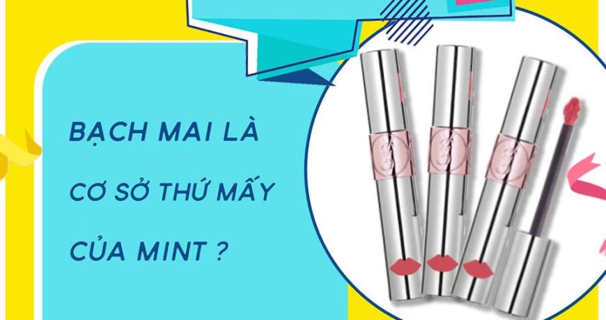 mini-game-say-hi-to-mint-237-bach-mai