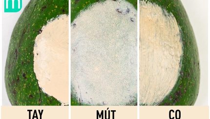 So Sánh Sự Khác Biệt Giữa Tán Kem Nền Bằng Tay - Mút - Cọ so-sanh-su-khac-biet-giua-tan-kem-nen-bang-tay-mut-co