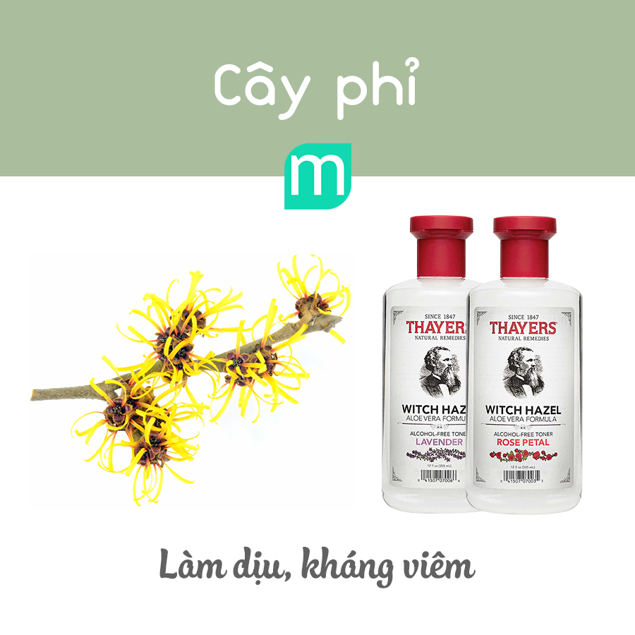 nhung-thanh-phan-thien-nhien-cho-da-dau-mun