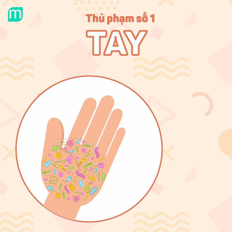 5-con-duong-dua-vi-khuan-len-da