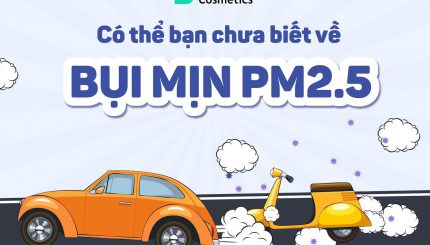 Có Thể Bạn Chưa Biết Về Bụi Mịn PM 2.5 co-the-ban-chua-biet-ve-bui-min-pm-2.5