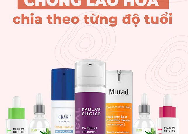 phan-loai-thanh-phan-chong-lao-hoa-theo-tung-do-tuoi