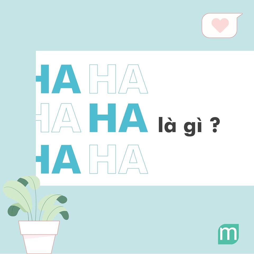 Tips Dùng HA Để Da Căng Bóng Mùa Hanh Khô tips-dung-ha-de-da-cang-bong-mua-hanh-kho