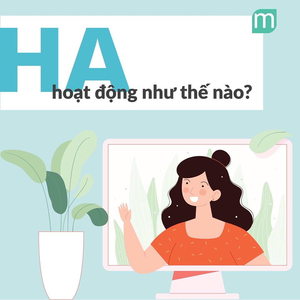 Tips Dùng HA Để Da Căng Bóng Mùa Hanh Khô tips-dung-ha-de-da-cang-bong-mua-hanh-kho