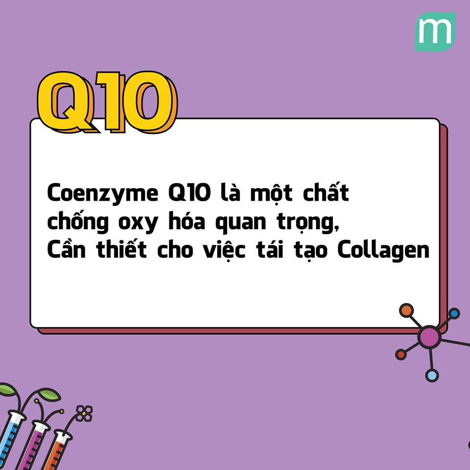tong-hop-kien-thuc-ve-thanh-phan-q10