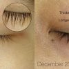 duong-mi-dhc-3-in-1-eyelash-serum