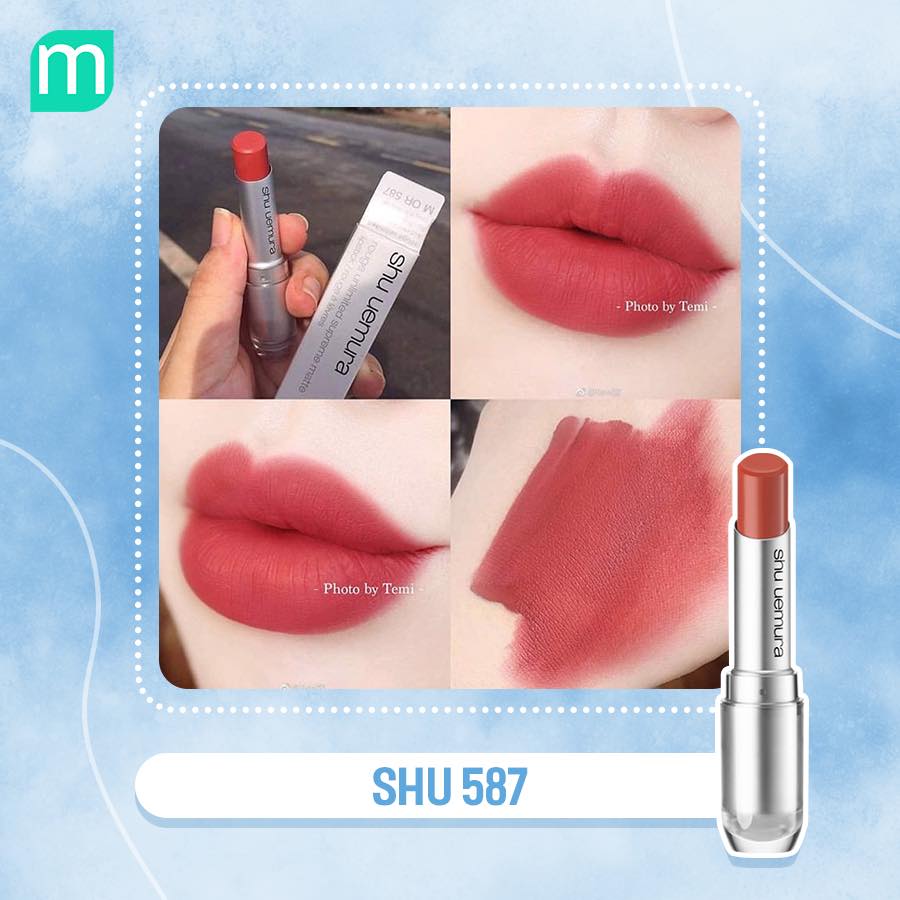 nhung-cay-son-hoan-hao-cho-mua-dong