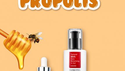 propolis-chuc-nang-va-dac-tinh