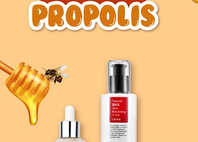 propolis-chuc-nang-va-dac-tinh