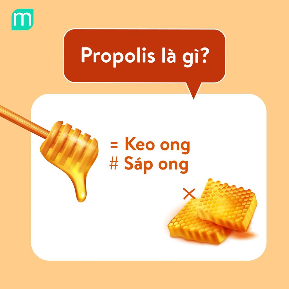 propolis-chuc-nang-va-dac-tinh1
