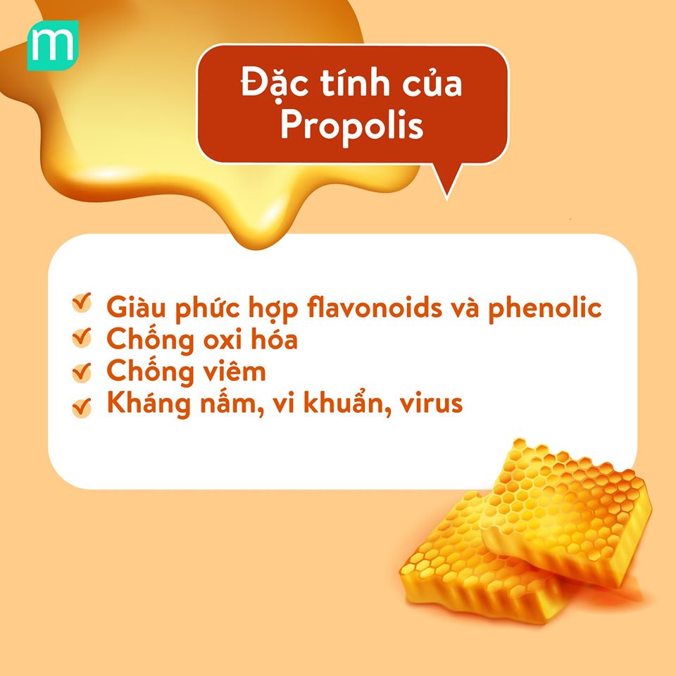 propolis-chuc-nang-va-dac-tinh2