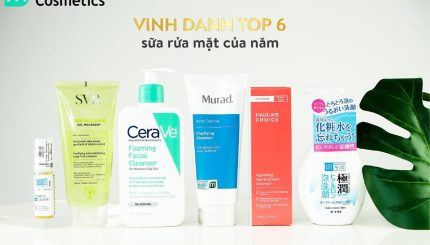 vinh-danh-top-6-sua-rua-mat-cua-nam-20196