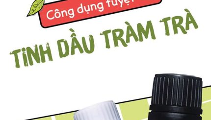 Các Công Dụng Tuyệt Vời Của Tinh Dầu Tràm Trà cac-cong-dung-tuyet-voi-cua-tinh-dau-tram-tra