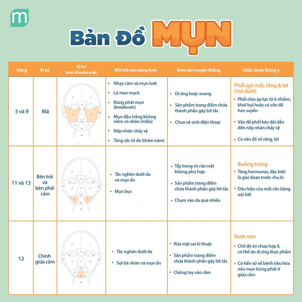 ban-do-trieu-chung-va-nguyen-nhan-mun
