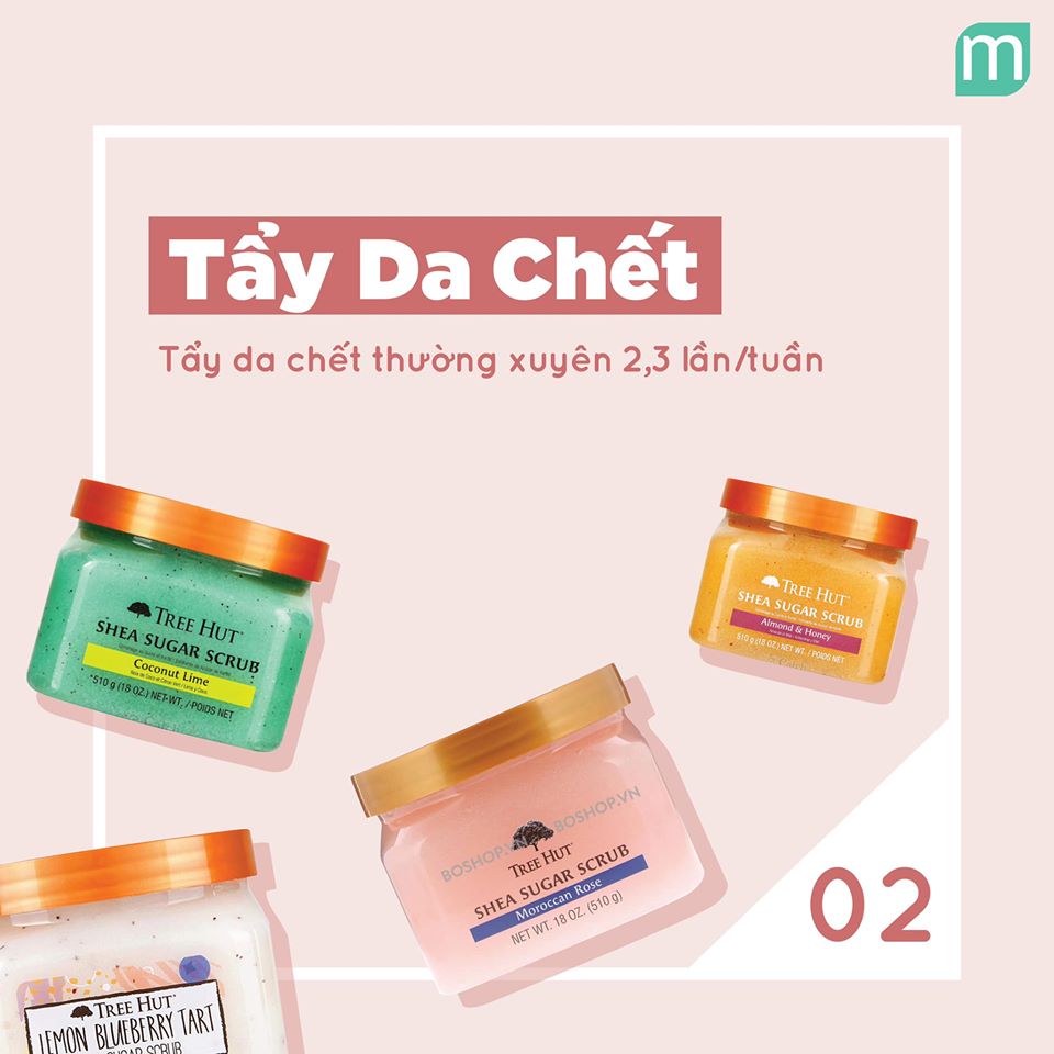 bye-bye-violon-xin-chao-lan-da-mem-min-voi-4-buoc