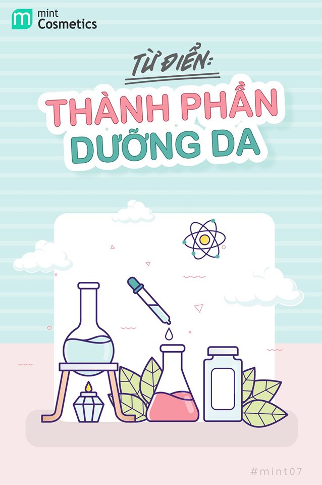 tu-dien-cac-thanh-phan-duong-da-va-cach-su-dung