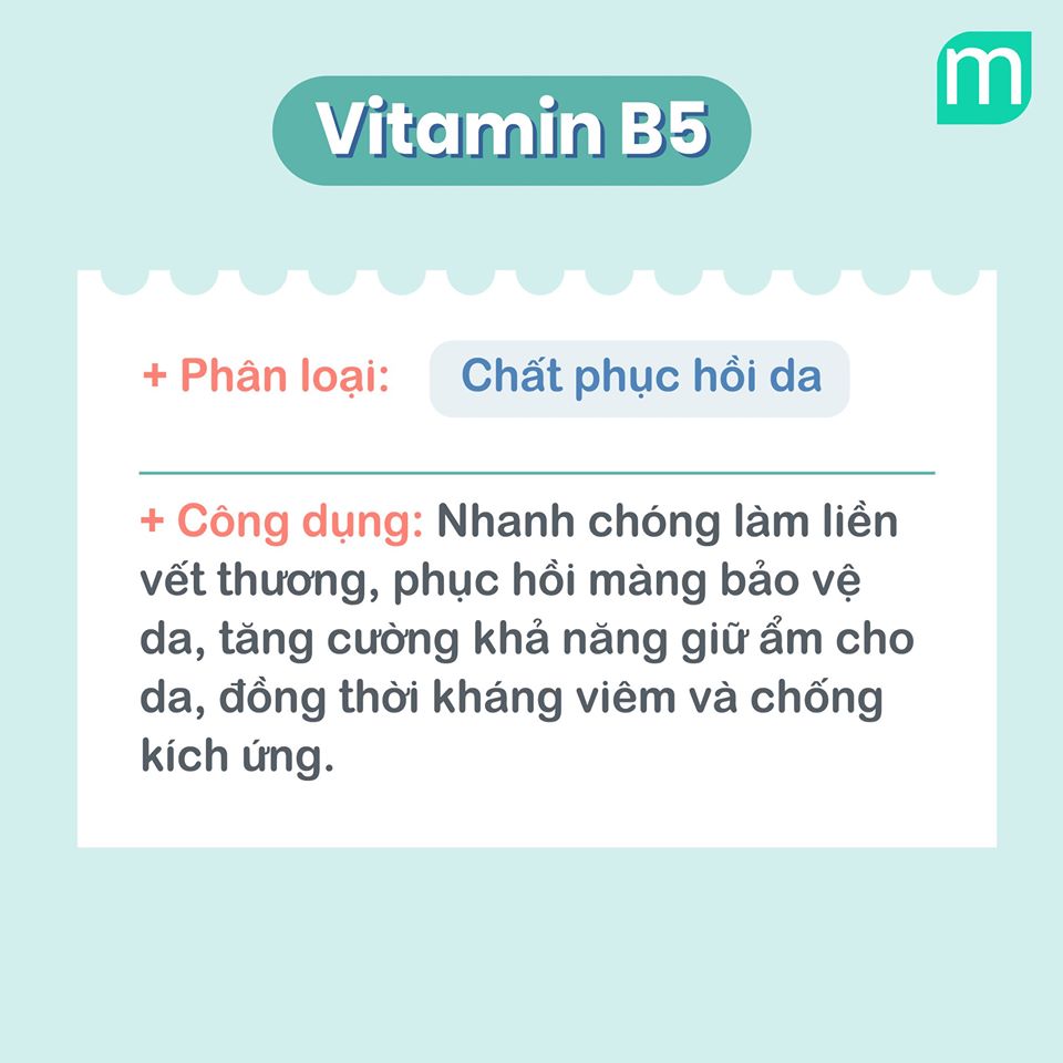 tu-dien-cac-thanh-phan-duong-da-va-cach-su-dung