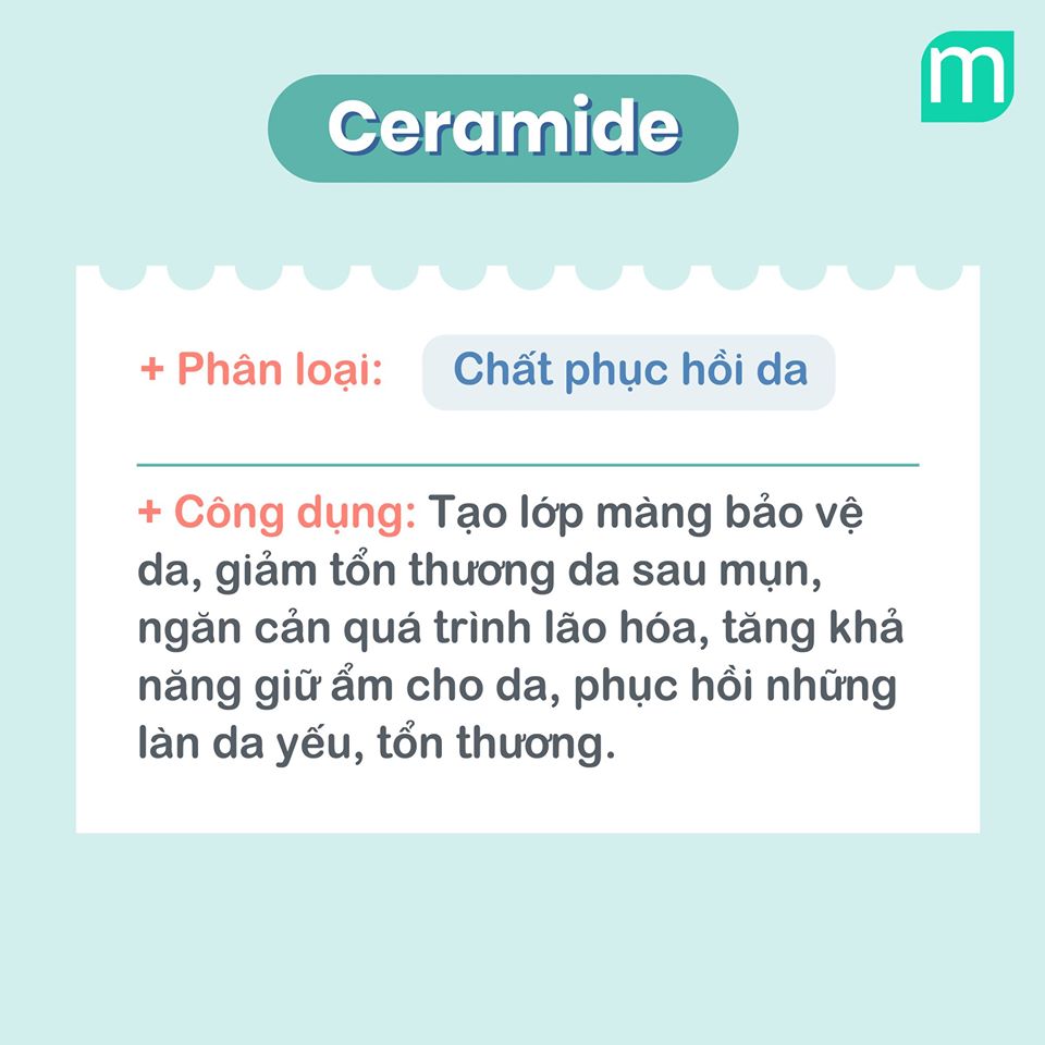 tu-dien-cac-thanh-phan-duong-da-va-cach-su-dung