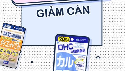 phan-biet-cac-vien-giam-can-cua-dhc
