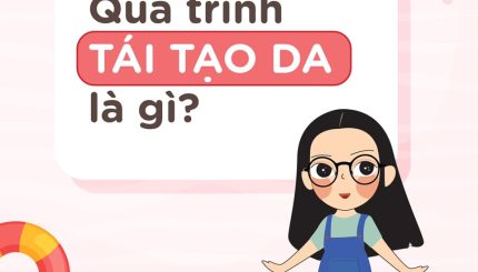 qua-trinh-tai-tao-da-tu-nhien-va-loi-dung-tai-tao-de-cham-soc-lan-da