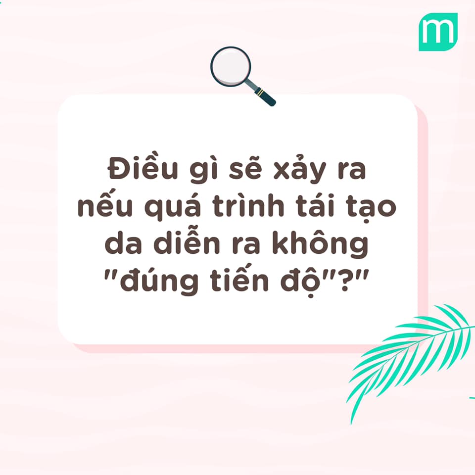 Quá Trình Tái Tạo Da Tự Nhiên Và Lợi Dụng Tái Tạo Để Chăm Sóc Làn Da qua-trinh-tai-tao-da-tu-nhien-va-loi-dung-tai-tao-de-cham-soc-lan-da