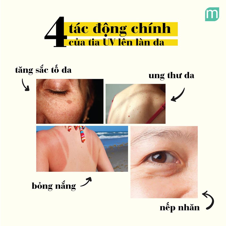 tac-dong-cua-tia-uv-tren-da