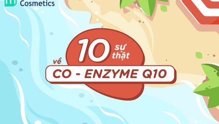 10-su-that-ve-co-enzyme-q10