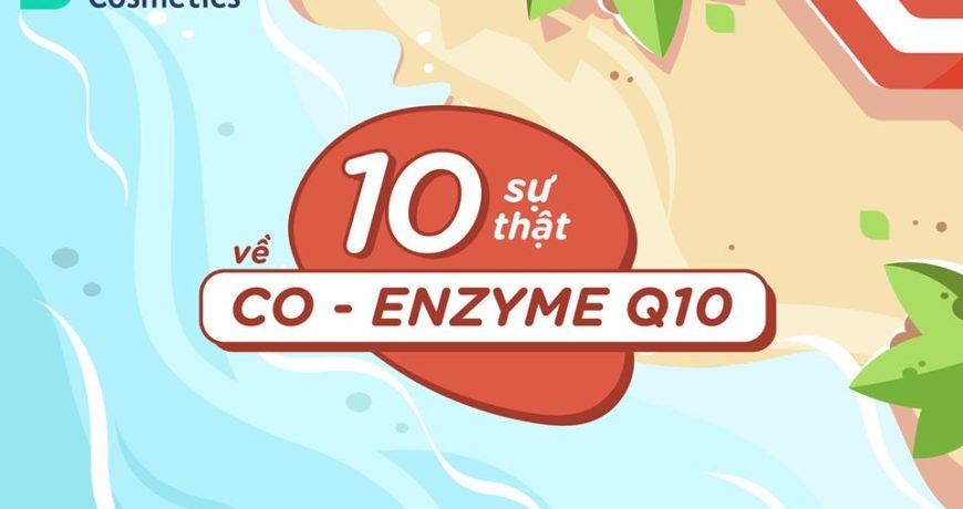 10-su-that-ve-co-enzyme-q10