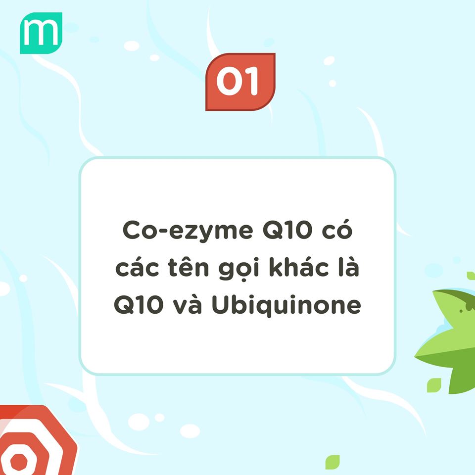 10-su-that-ve-co-enzyme-q10