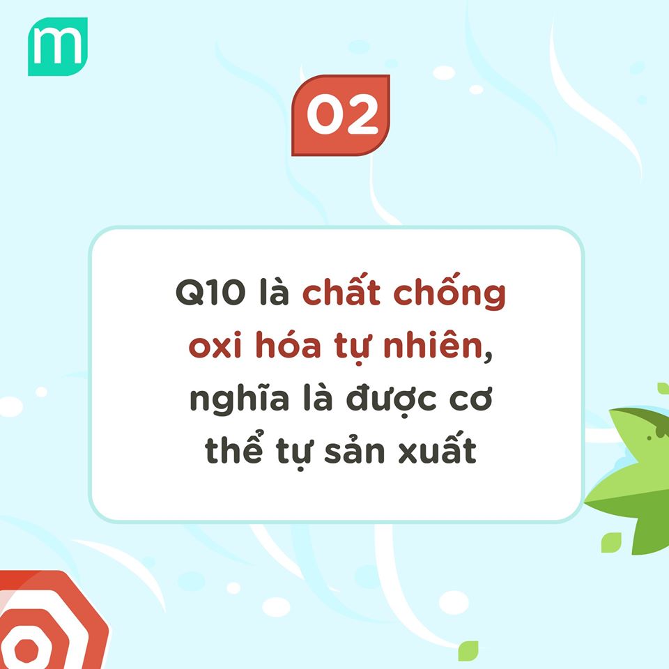 10-su-that-ve-co-enzyme-q10
